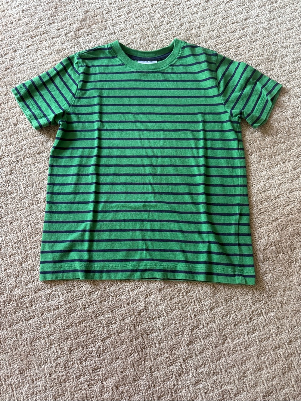 Hanna Andersson Green Tee with Navy Stripes